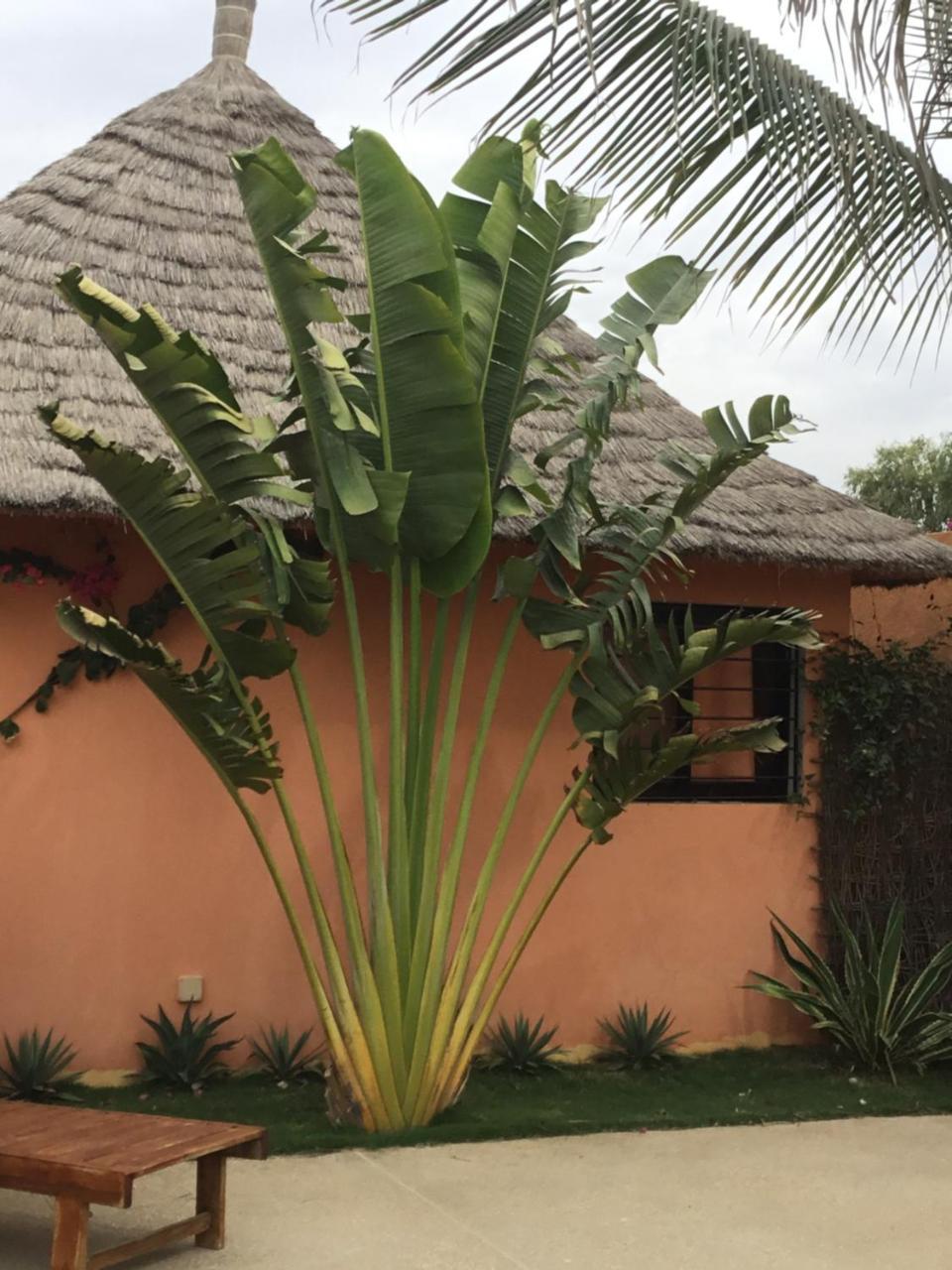 Terra Lodge Senegal Мбур Екстер'єр фото