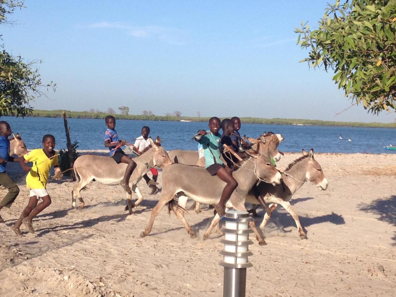 Terra Lodge Senegal Мбур Екстер'єр фото
